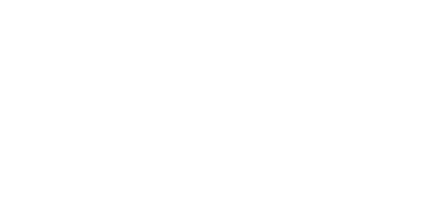 Mención Especial del Festival Internacional de Cine Infantil y Juvenil de Vilnius, Lituania