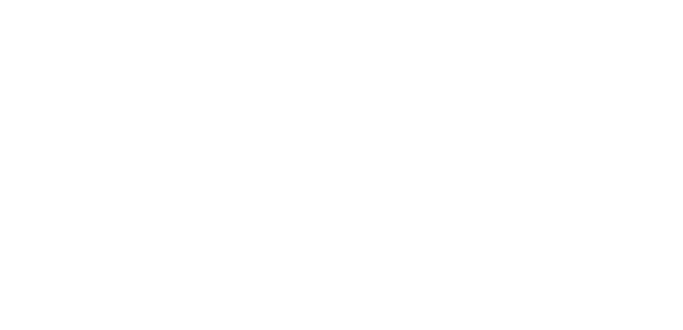 Mención Especial del Premio de la Crítica en el Festival de Cine de la ciudad de Luxemburgo.